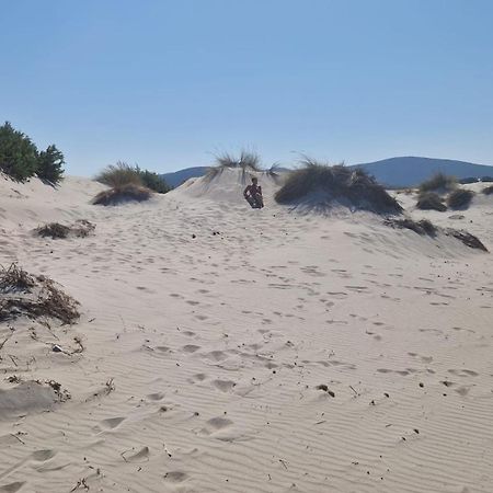 Casa Vacanza Mamaioa SantʼAnna Arresi Zewnętrze zdjęcie